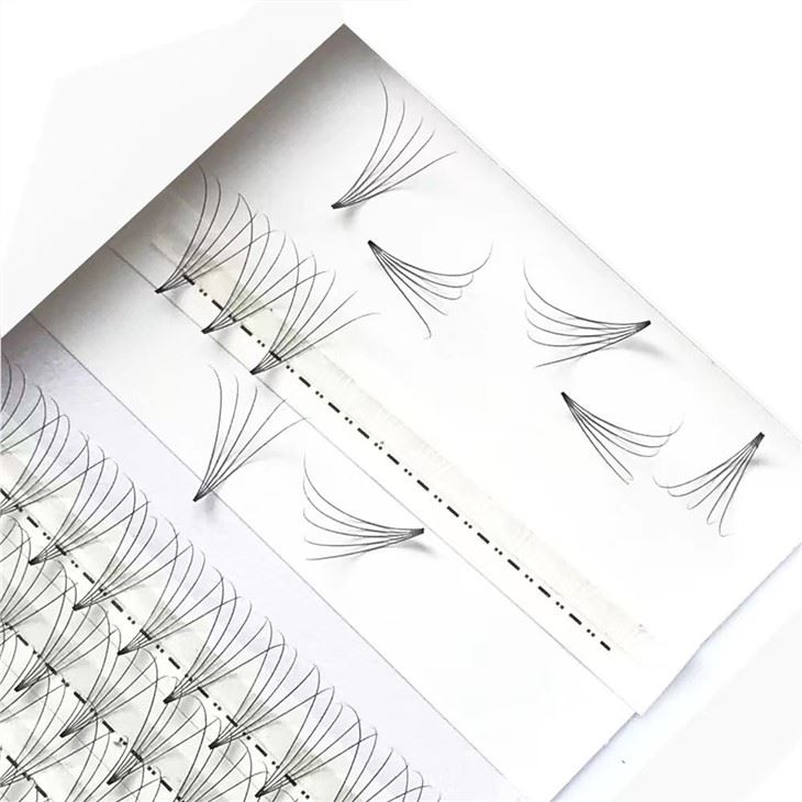 5d Lash Extensions