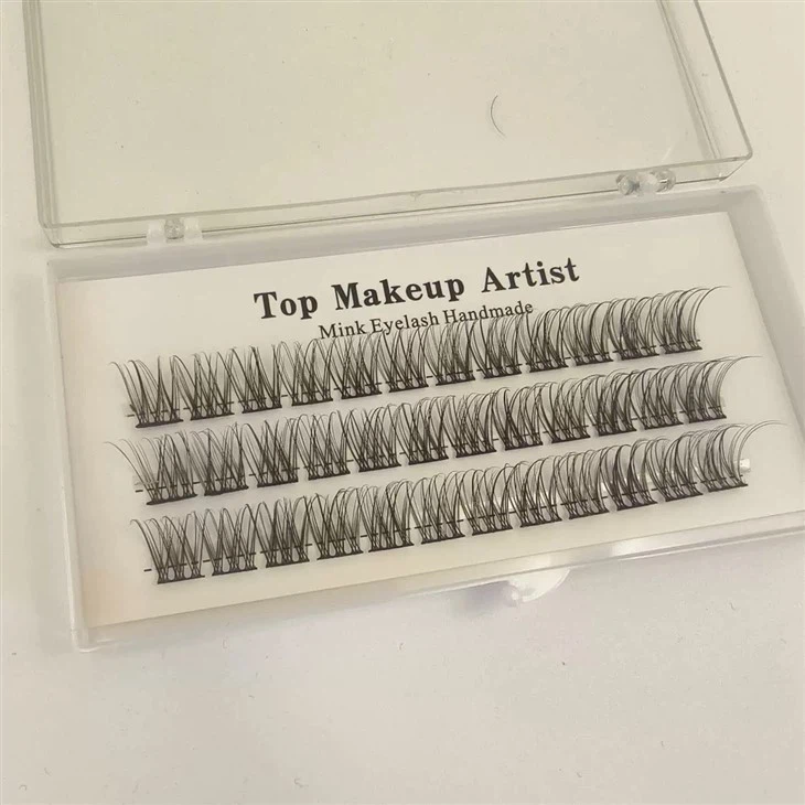 Художник Лэш